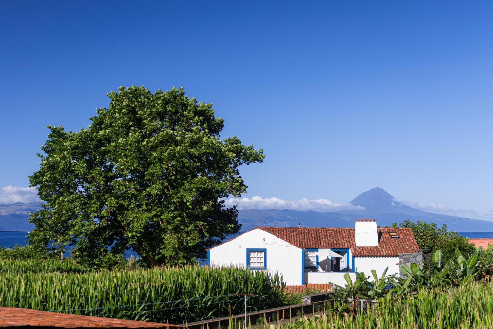 Villa Casas Dos Vimes Faja dos Vimes Esterno foto